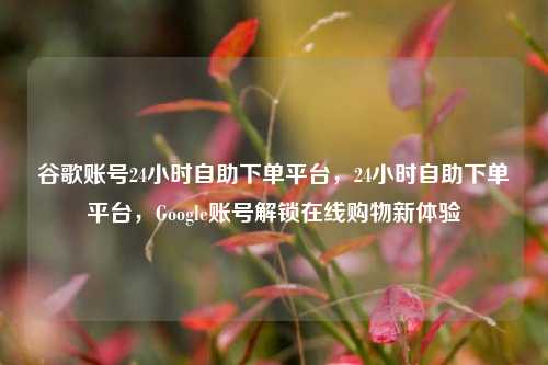 谷歌账号24小时自助下单平台，24小时自助下单平台，Google账号解锁在线购物新体验
